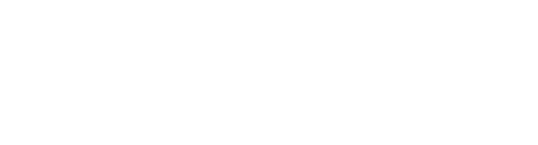SUSTAINABLE DEVELOPMENT GOALS（SDGs）目標3・11・17